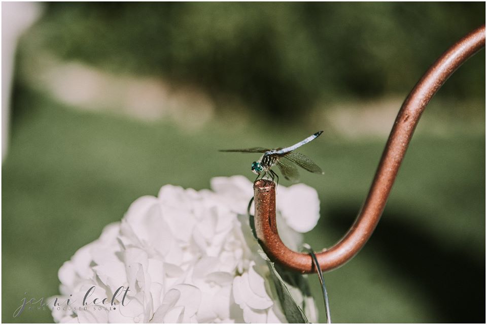 photo by The Focused Soul Photography